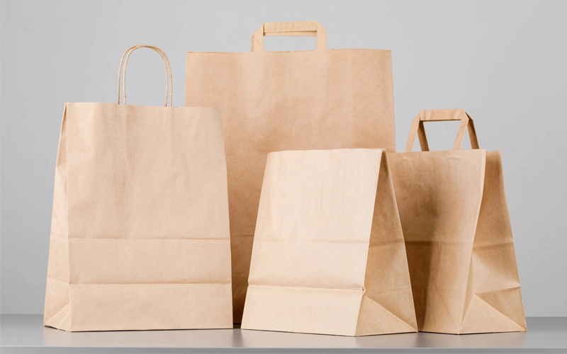 bagasse Packaging Bags