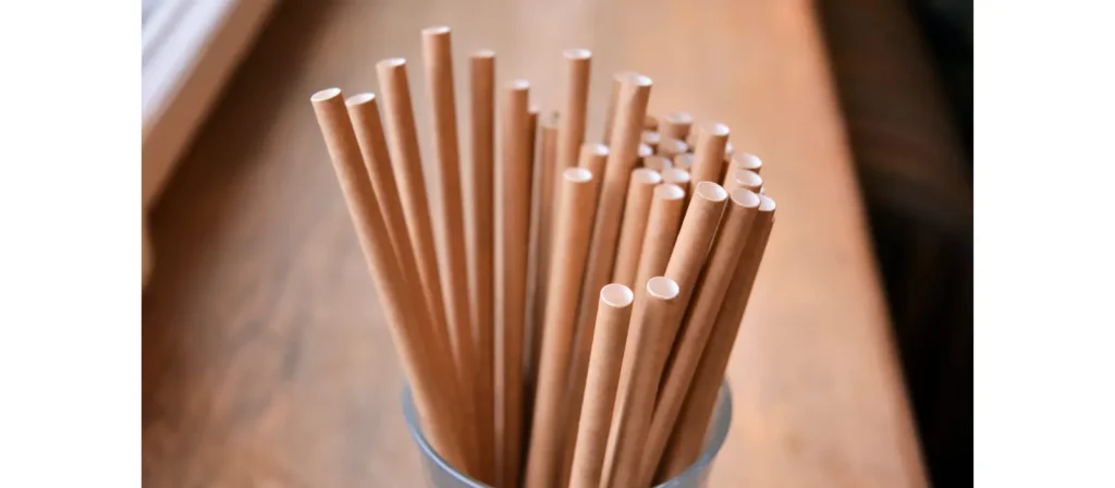 Alternatives to Plastic Straws