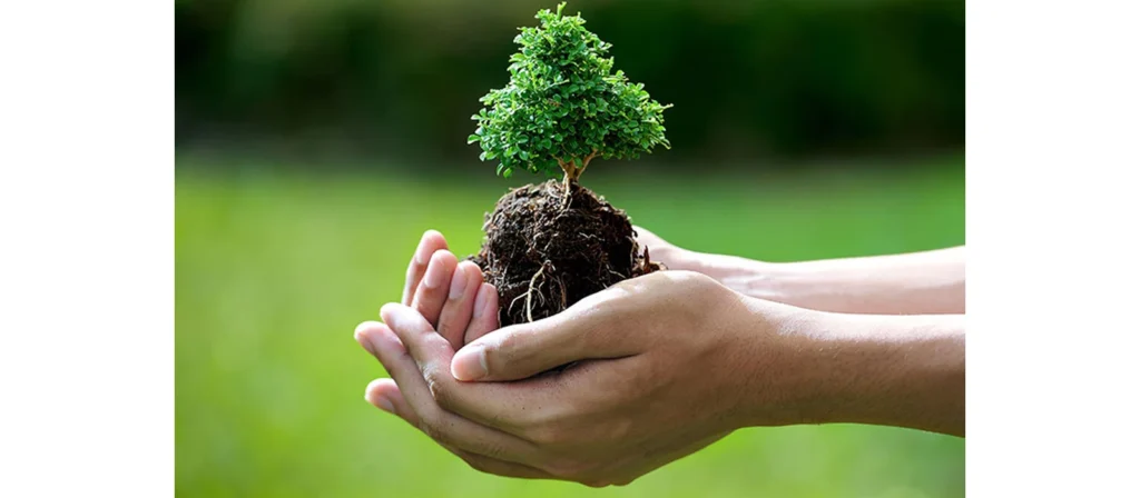 Understanding Carbon Label: Empowering Enterprises for Low-Carbon Transformation 2 How is a Carbon Label Calculated