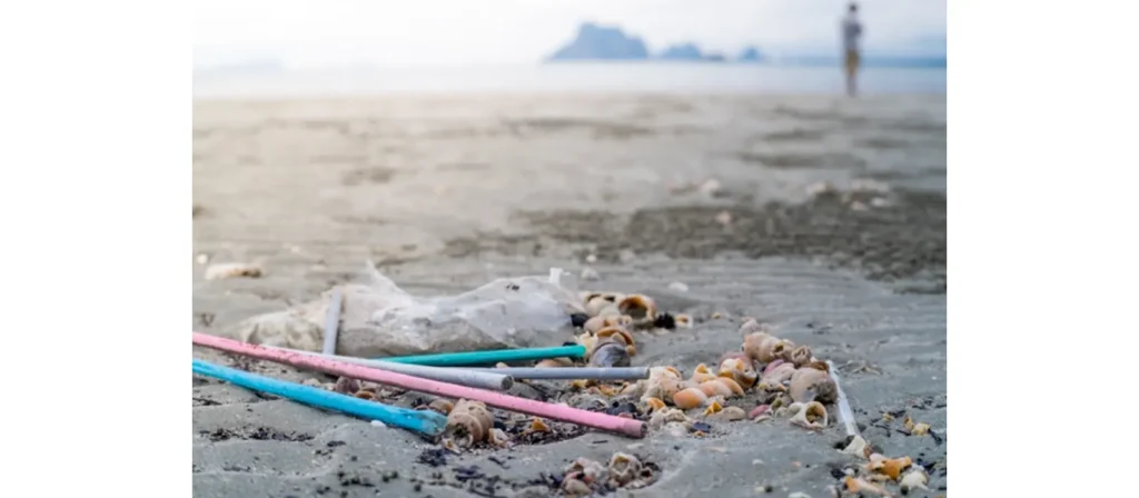 Plastic Straws Banned