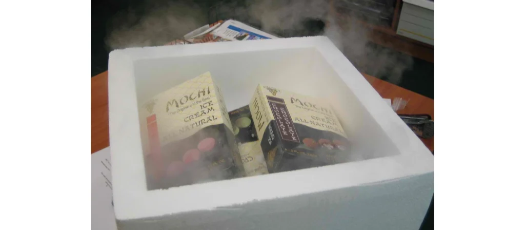 frozen food