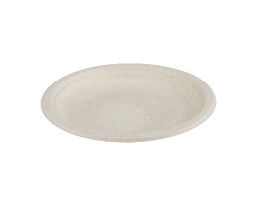 Bagasse Food Container