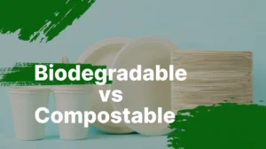 Biodegradable vs Compostable