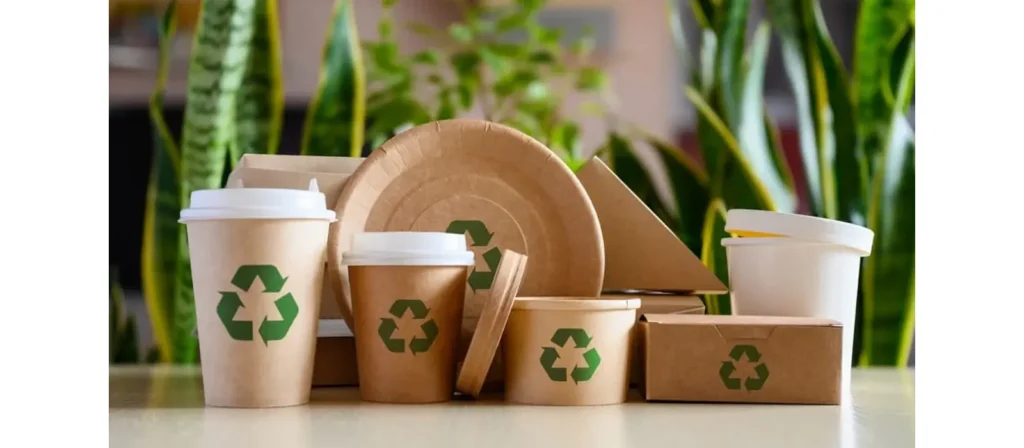 Choose the Best Biodegradable Packaging Products