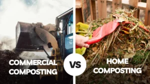 Commercial Composting vs Home Composting