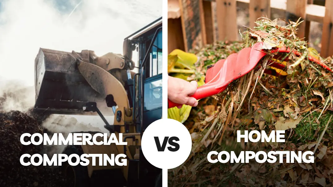 Commercial Composting vs Home Composting