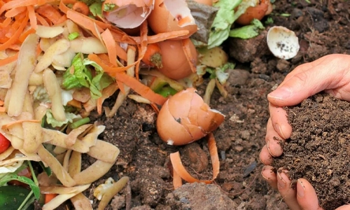 Compostable Materials