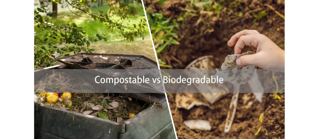 Difference Between Compostable vs Biodegradable