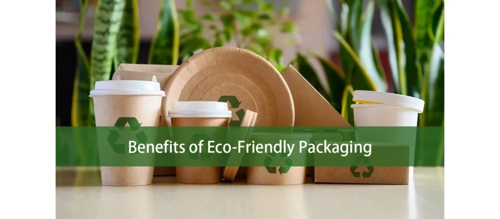 Benefits of Eco Friendly Packaging