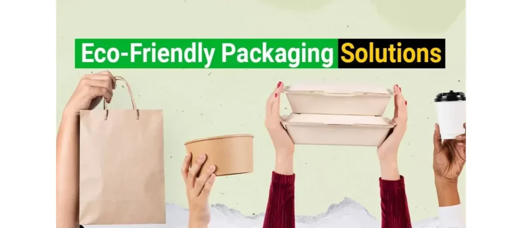 Innovation in Eco Friendly Packaging Solutions