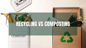 Recycling vs Composting