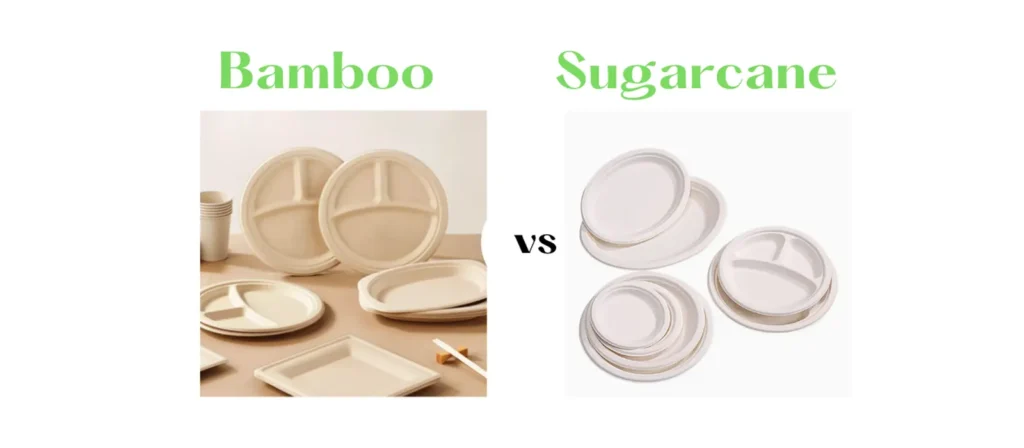 Sugarcane vs Bamboo Carbon Emission and Absorption
