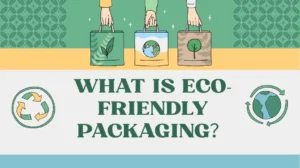 What is Eco-Friendly Packaging