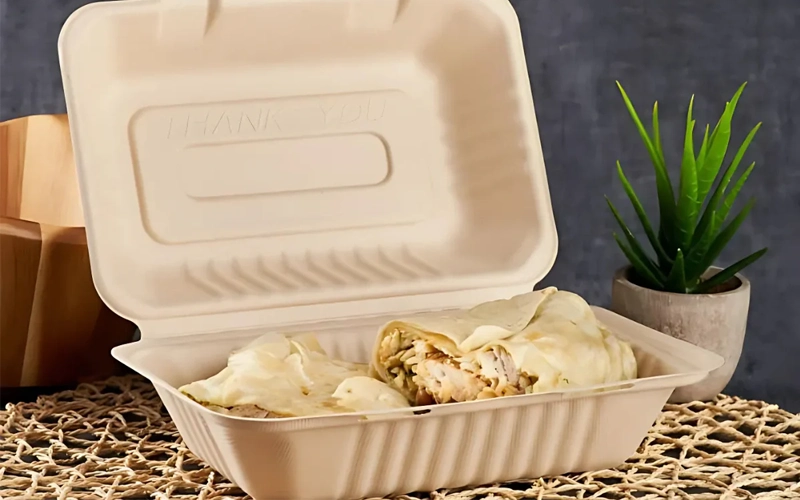 Bagasse Products Food Containers