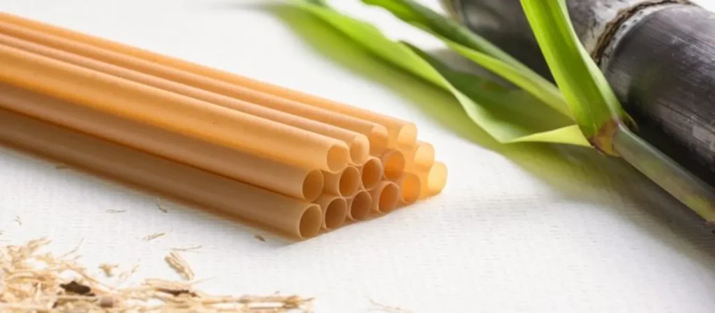 Bagasse Straws