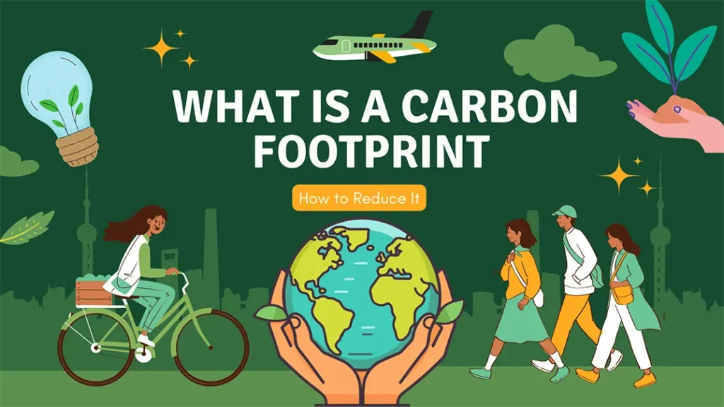 Carbon Footprint