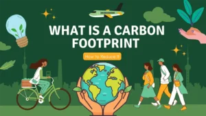 Carbon Footprint