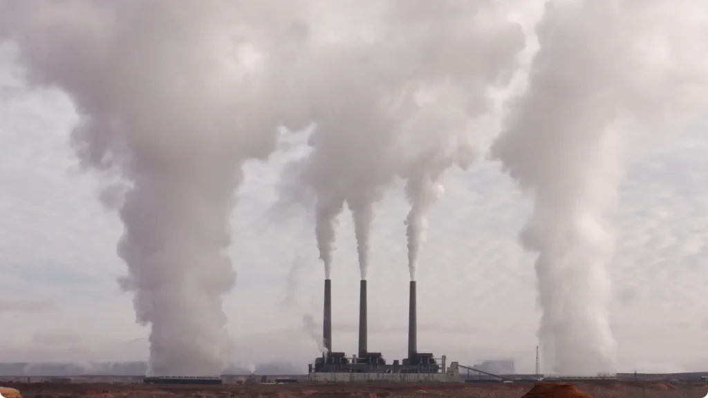 Carbon Neutral vs Net Zero