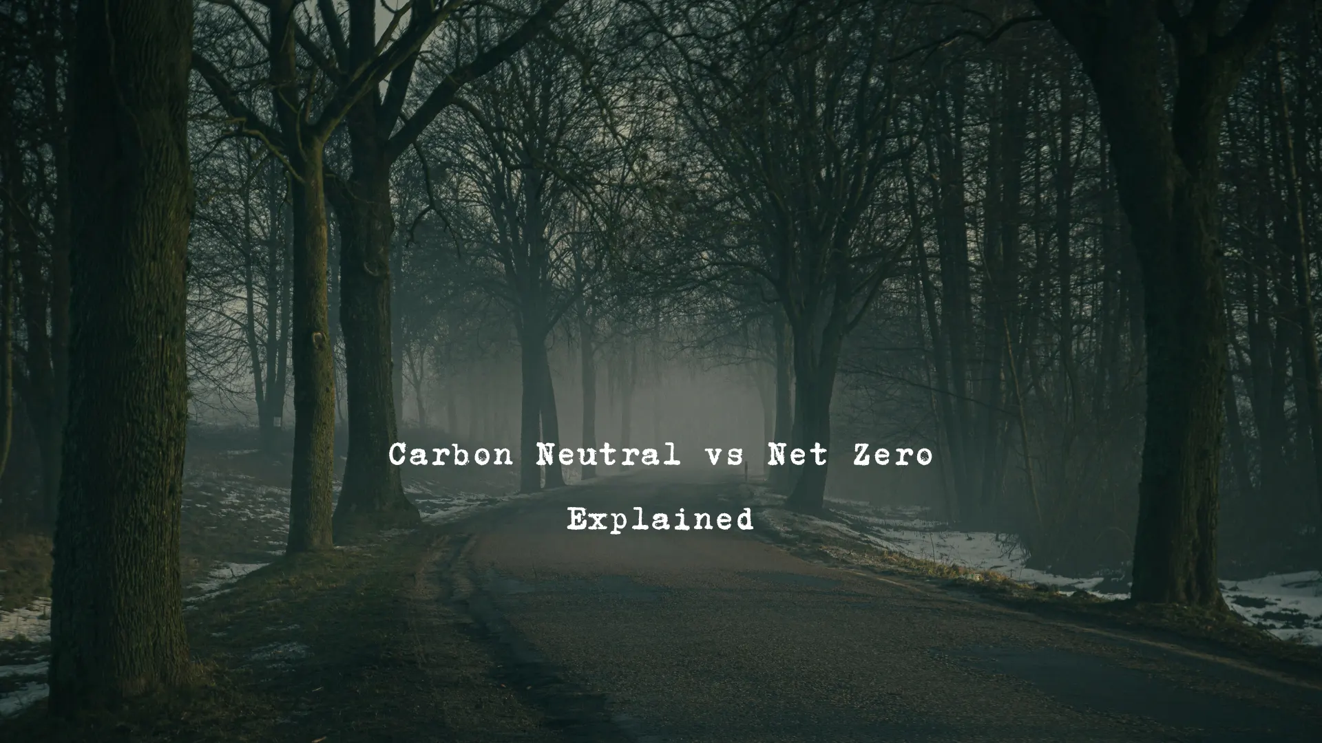 Carbon Neutral vs Net Zero Explained Understanding the Difference
