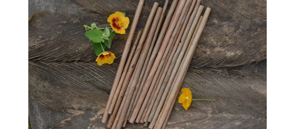 Coconut Leaf Straws