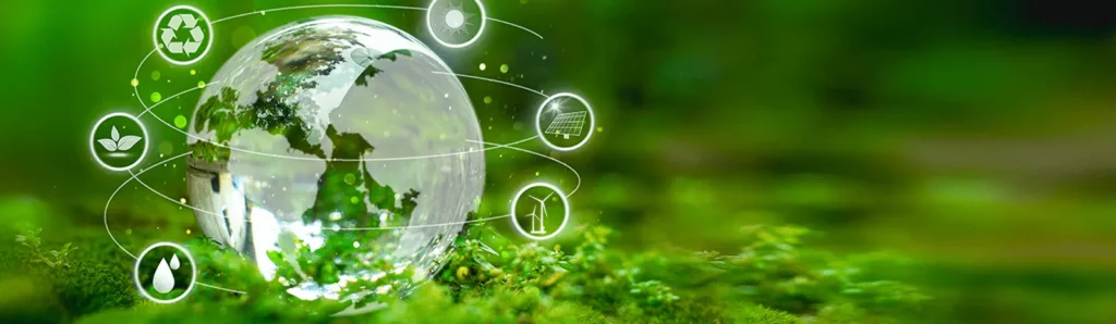 Core Elements of EUDR