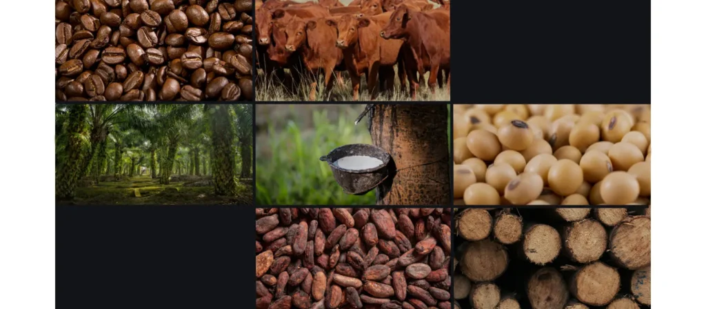 Derived Products and Downstream Items eudr