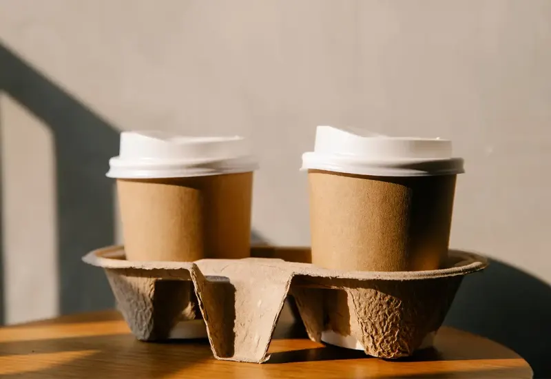 Disposable Paper Cups