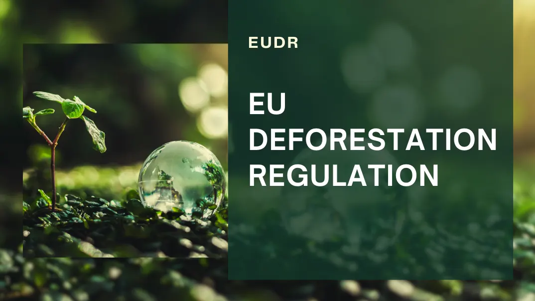 EU Deforestation Regulation