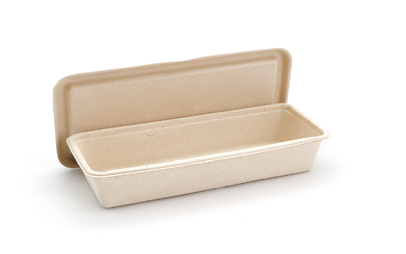 Eco Friendly Bagasse
