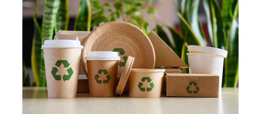 Environmental Sustainability of Kraft Paper