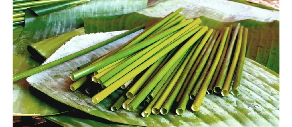Grass Straws