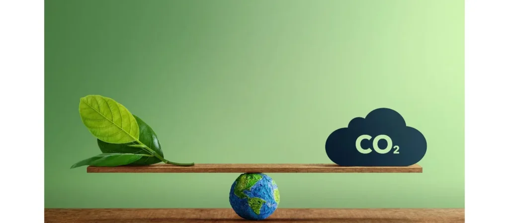 How to Calculate Your Carbon Footprint