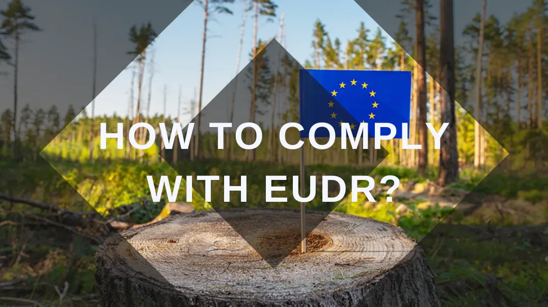 How to Comply With EUDR