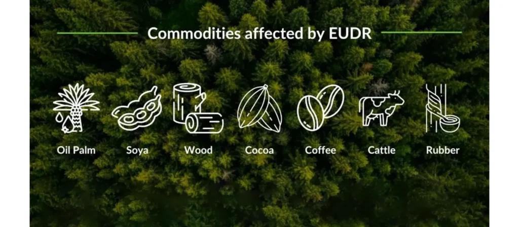 List of Products Applicable to EUDR