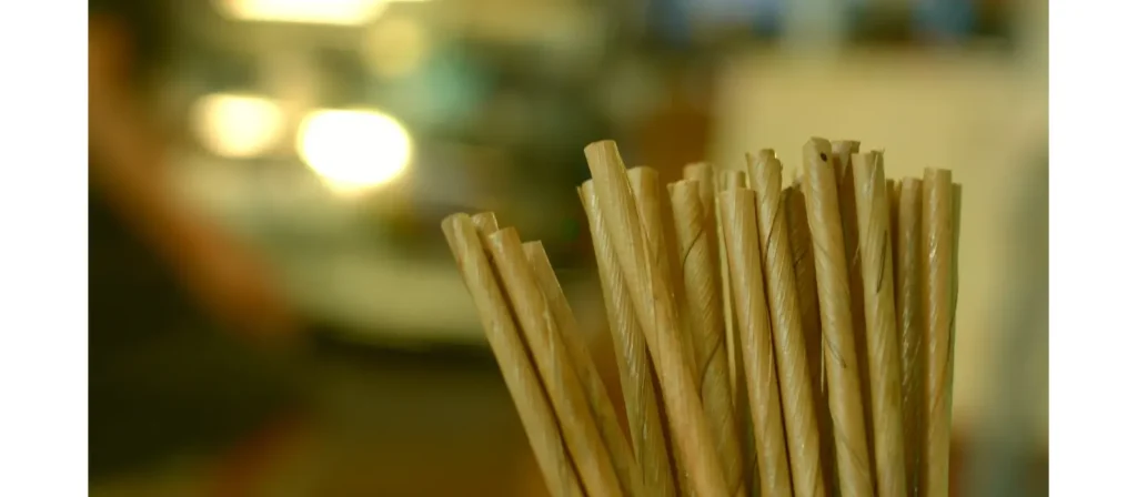 Palm Leaf Straws