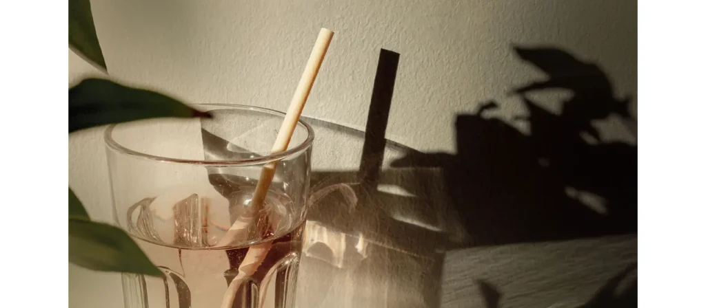 Paper Straws