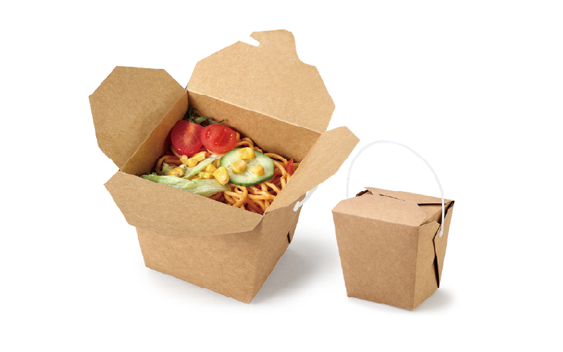 Plastic Handle Noodle