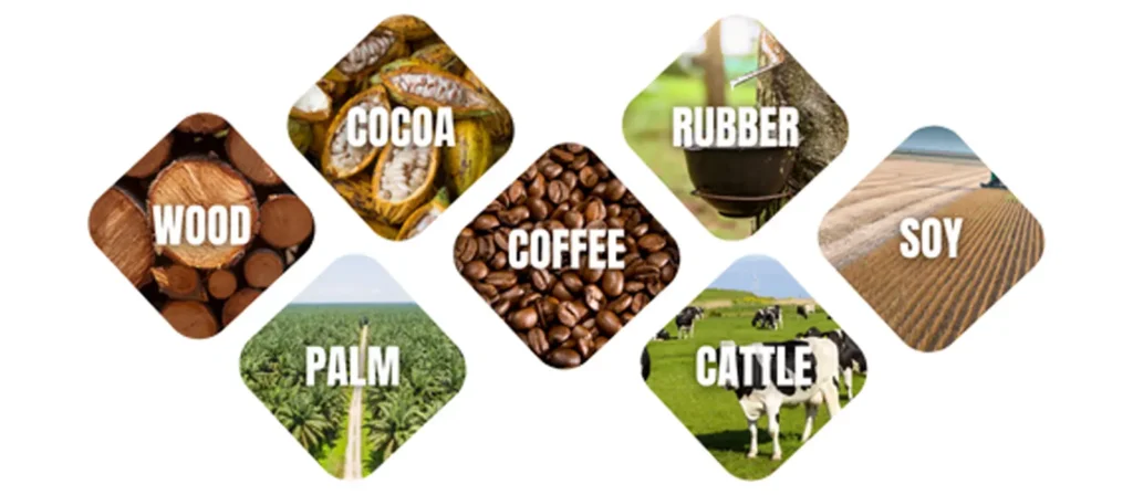 Products Are Affected by EUDR