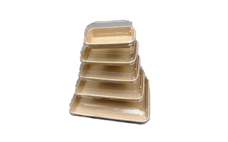 Sushi Box with PET Lid