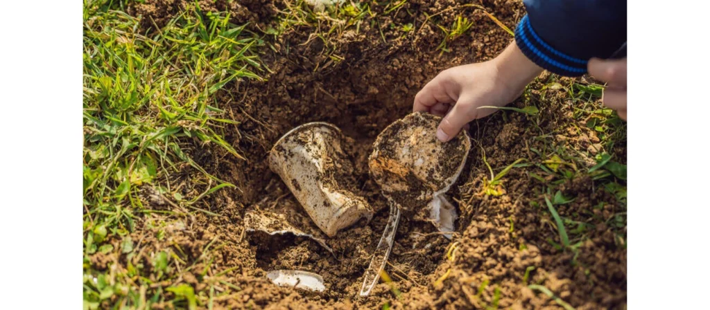 The Biodegradation Process