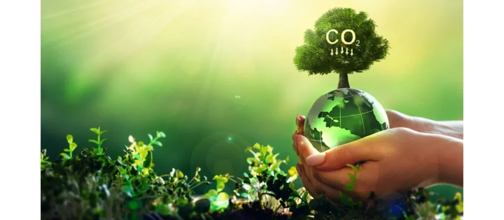 The Importance of Carbon Footprint