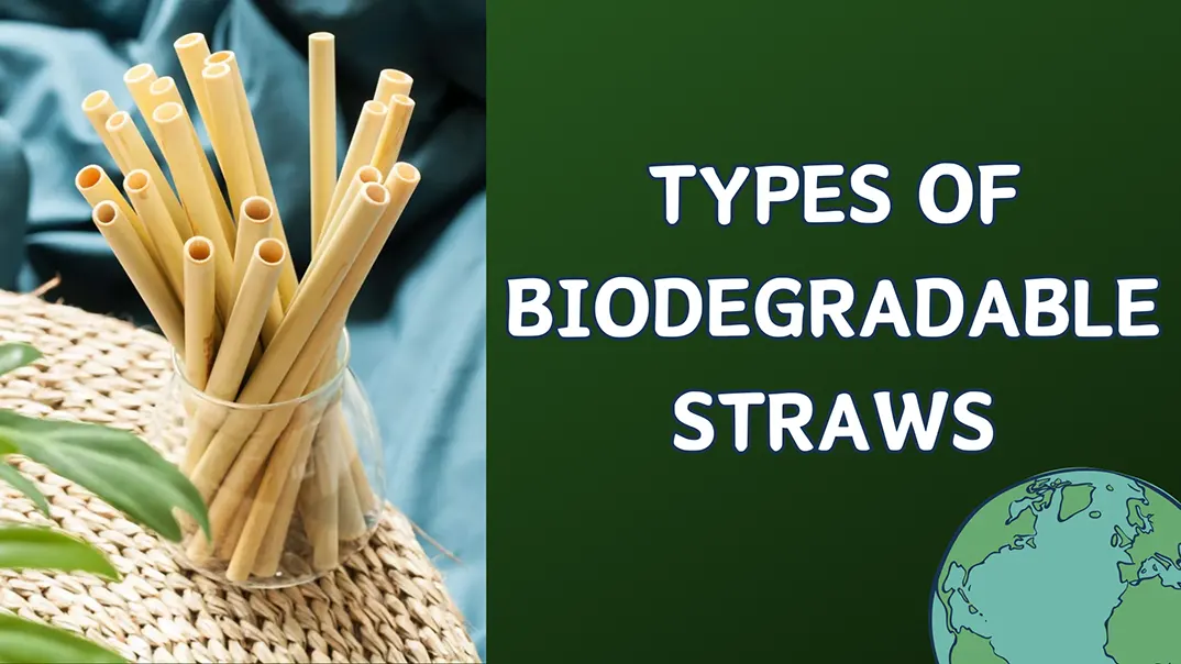 Types of Biodegradable Straws