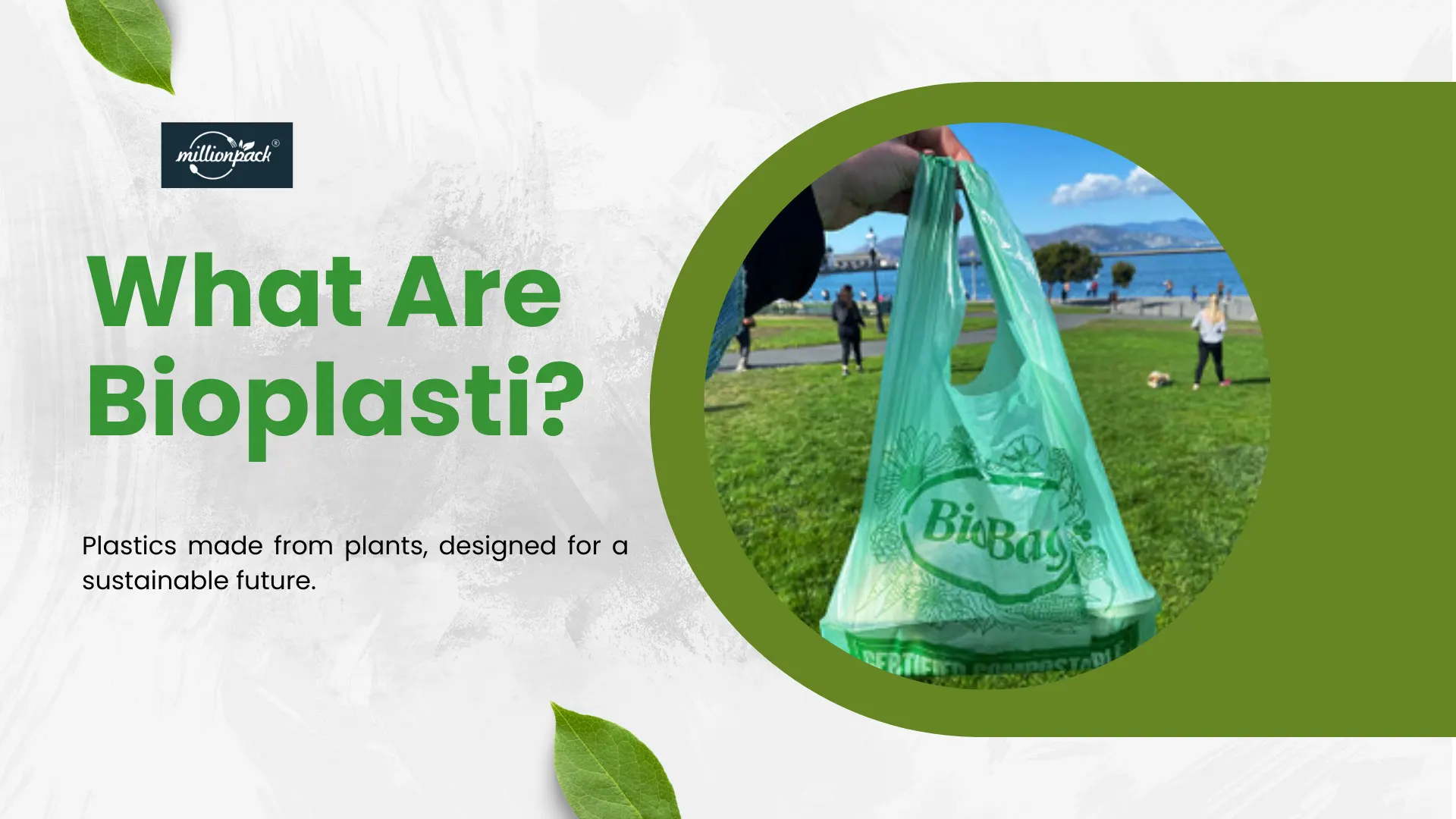 What Are Bioplastics&Types, Properties & Sustainability Guide