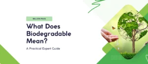 What Does Biodegradable Mean