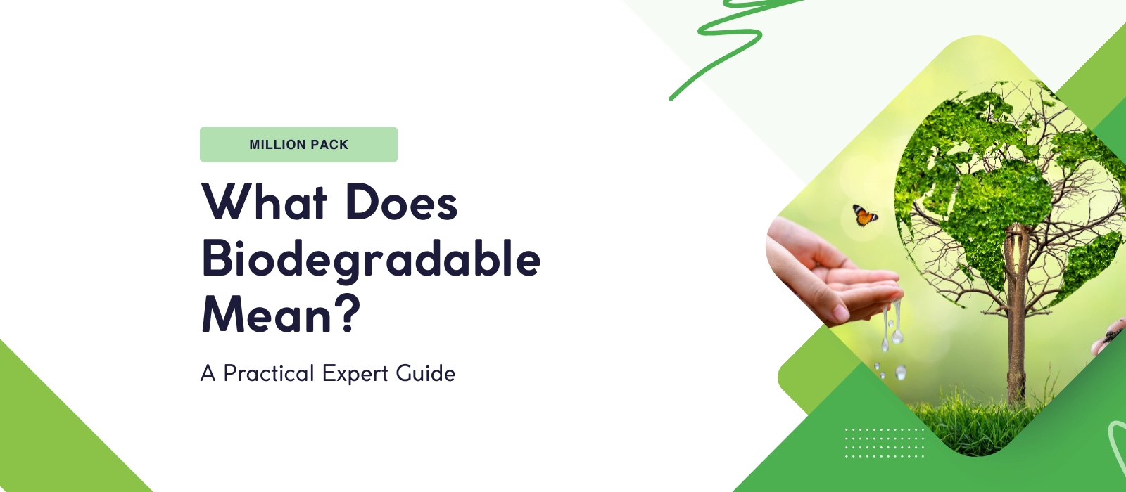 What Does Biodegradable Mean