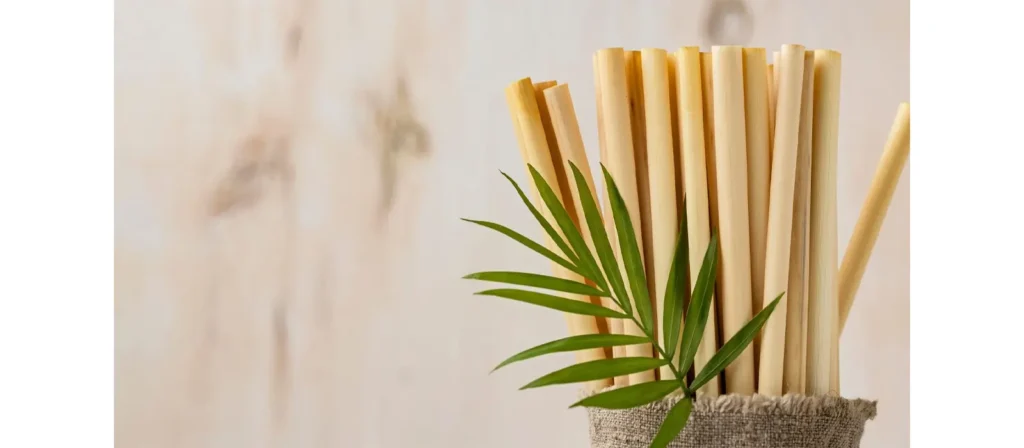 What are Biodegradable Straws