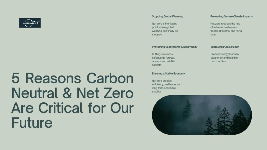Why Carbon Neutral and Net Zero Goals Are Essential