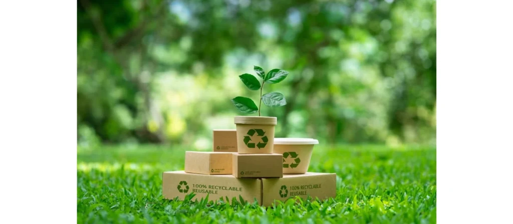 Sustainable Packaging What Every Business Should Know 1 What is Sustainable Packaging
