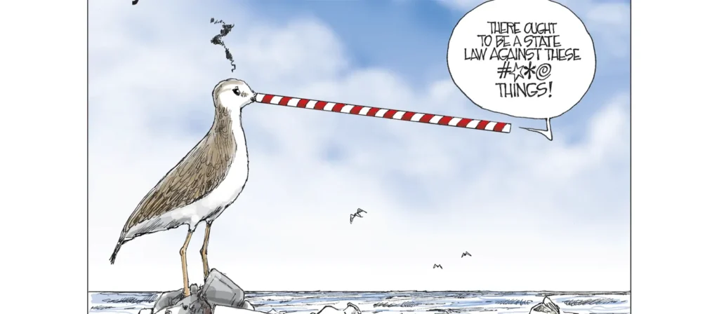 Why Should Plastic Straws Be Banned