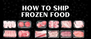 how to ship frozen food